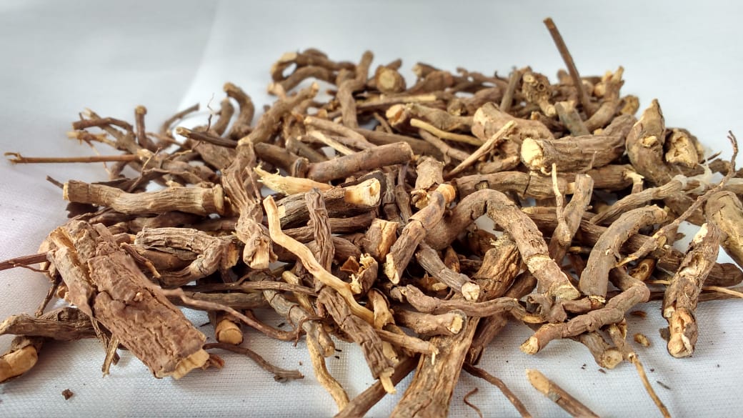 Nannari Root Benefits