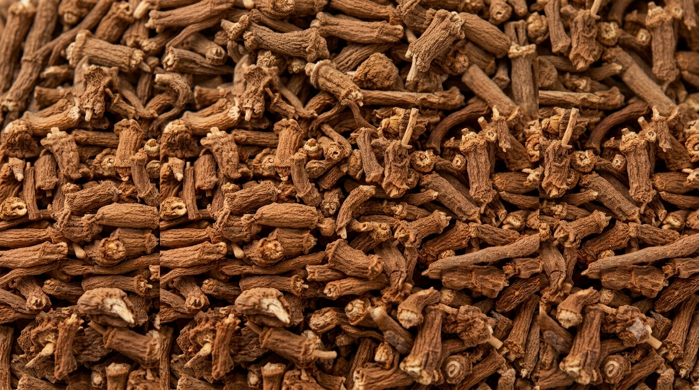 Premium Nannari Roots